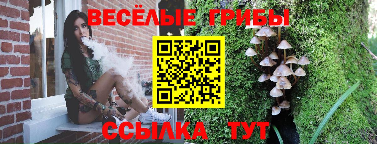 Псилоцибиновые грибы Cubensis  Вход с VPN  Печора  Галлюциногенные грибы Psilocybe 