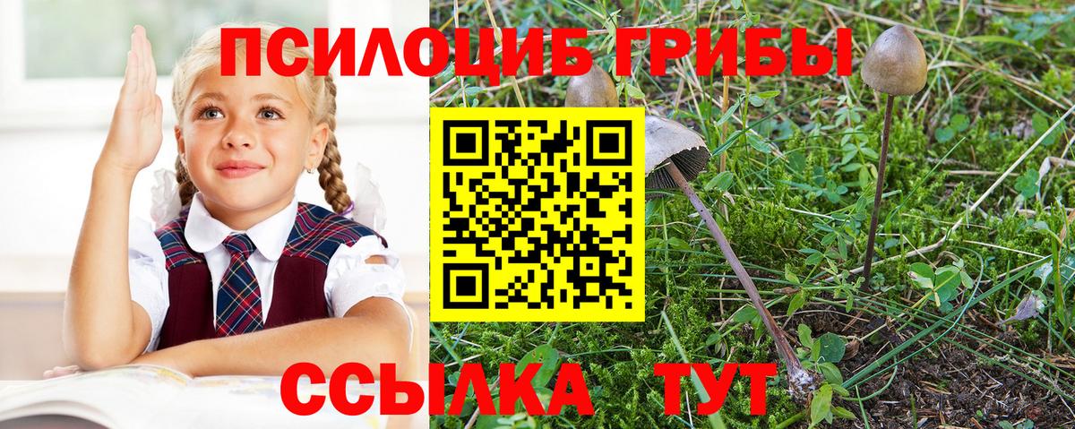 Псилоцибиновые грибы мицелий Печора